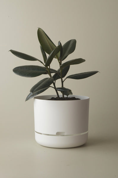 Mr Kitly Selfwatering Plant Pots White 300mm